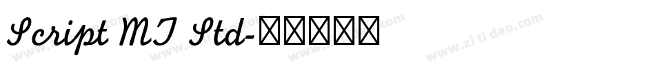 Script MT Std字体转换